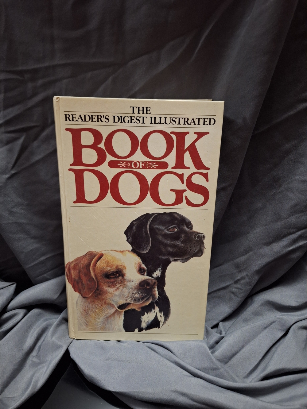 1984 Reader’s Digest Illustrated Book of Dogs - Hardcover First Edition Vintage